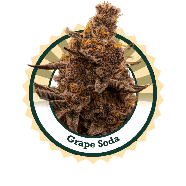 GrapeSoda0924Logo