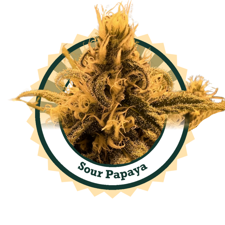 SourPapaya0924Logo